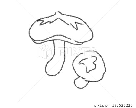 鉛筆画風のキノコのイラスト 132525220