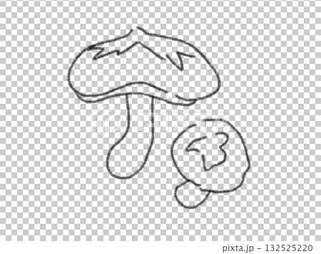 鉛筆画風のキノコのイラスト 132525220
