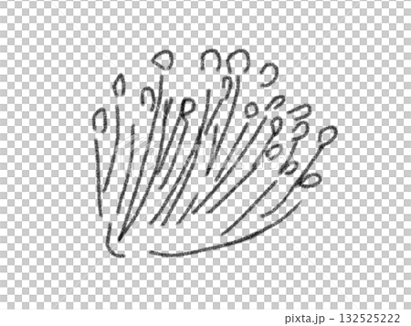 Pencil drawing style mushroom illustration 132525222