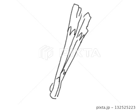 鉛筆画風のねぎのイラスト 132525223