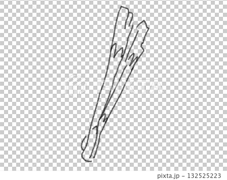 鉛筆画風のねぎのイラスト 132525223