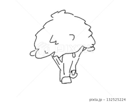 鉛筆画風のブロッコリーのイラスト 132525224