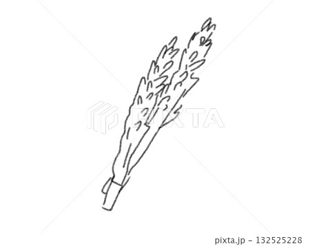 鉛筆画風の食材のイラスト 132525228