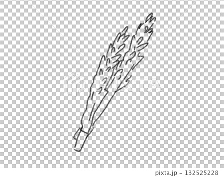 鉛筆画風の食材のイラスト 132525228