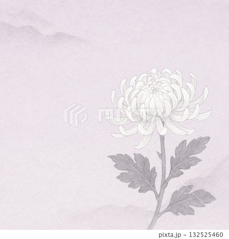 弔事や喪中の挨拶用の蓮の花のイメージ 弔事や喪中の挨拶用の蓮の花のイメージ 132525460