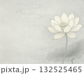 弔事や喪中の挨拶用の蓮の花のイメージ 132525465