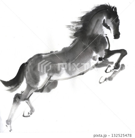 走る馬の手描き水墨イラスト 132525478