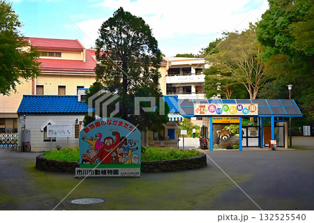 市川市動植物園 市川市動植物園 132525540