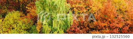 Autumn foliage of trees as a background Autumn foliage of trees as a background 132525560
