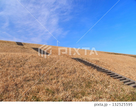石段のある早春の江戸川土手風景 石段のある早春の江戸川土手風景 132525595