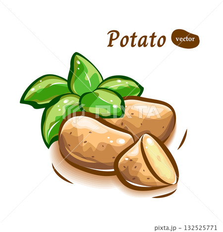 じゃがいもに葉っぱを添えて、みずみずしくポップに描いた可愛いイラスト じゃがいもに葉っぱを添えて、みずみずしくポップに描いた可愛いイラスト 132525771