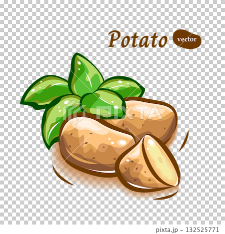 一幅可愛的插圖，描繪了新鮮的、帶有葉子的馬鈴薯。 132525771