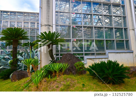 市川市動植物園 市川市動植物園 132525780