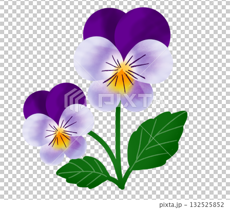 紫色のかわいらしいビオラの花2 132525852