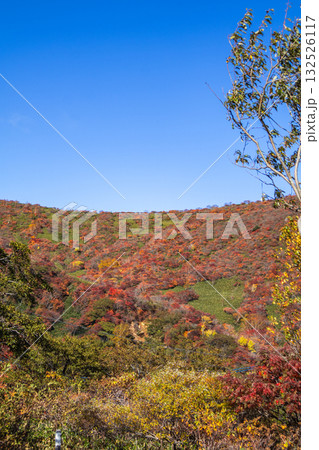 那須岳駐車場からみた色づいた那須岳の景観 132526117