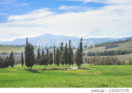 Typical Tuscan landscape in Italy Typical Tuscan landscape in Italy 132527179