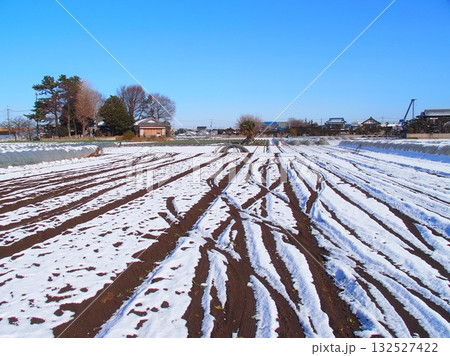 轍の残る雪解けの早春の野菜畑風景 132527422