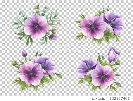 Anemone Purple flowers bouquet set. Watercolor Windflowers Pink buds with eucalyptus green leaves. Isolated in realistic style clipart for wedding, greeting card floral design. Hand drawn illustration Anemone Purple flowers bouquet set. Watercolor Windflowers Pink buds with eucalyptus green leaves. Isolated in realistic style clipart for wedding, greeting card floral design. Hand drawn illustration 132527461