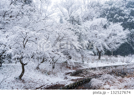 雪化粧した木々 132527674