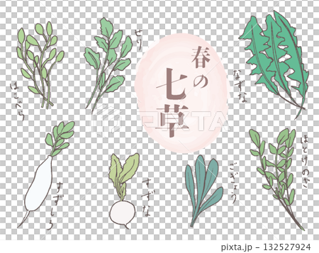 手描きの春の七草セット 132527924