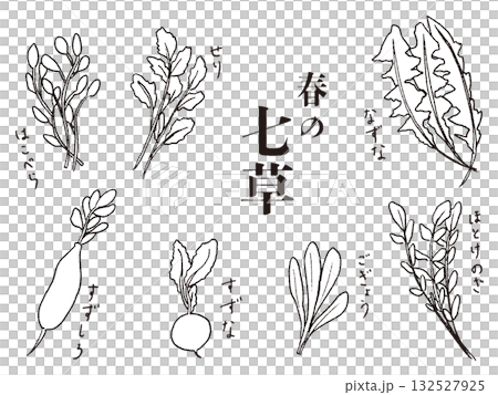 Hand-drawn set of seven herbs of spring in black and white Hand-drawn set of seven herbs of spring in black and white 132527925