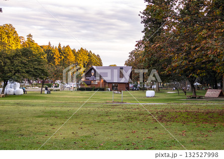 広々とした芝生の広場 132527998