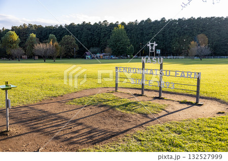 広々とした芝生の広場 132527999