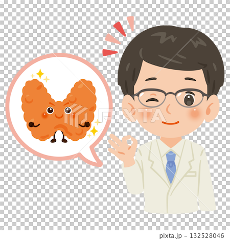 健康な甲状腺のキャラクターと白衣を着た男性医師　上半身イラスト 132528046