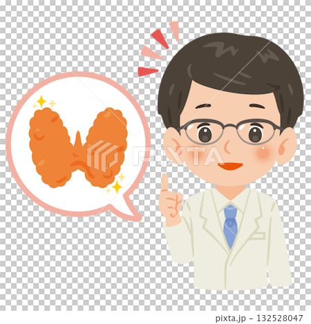 健康な甲状腺と白衣を着た男性医師　上半身イラスト 132528047