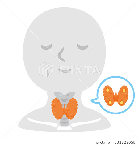 甲状腺の構造人物イラスト 132528059