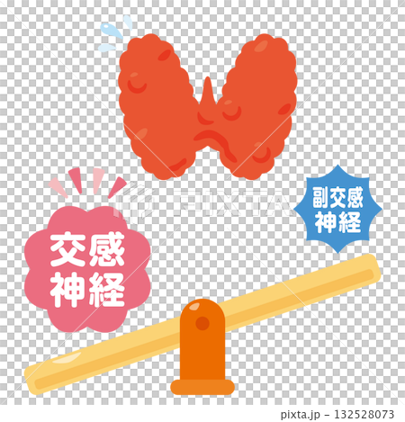 當交感神經系統處於主導地位並過度活躍時，甲狀腺的示意圖 132528073