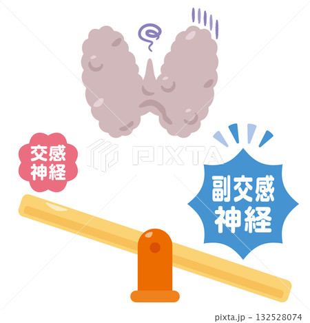 副交感神経が優位になって働きが鈍くなる甲状腺のイラスト 132528074