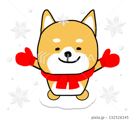 雪の日に赤い手袋とマフラーをして大喜びのしばいぬ 132528145