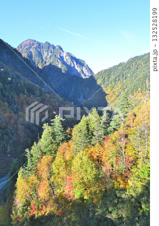 紅葉と黒部別山 132528199