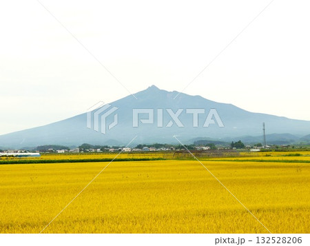 黄金色に輝く稲穂と岩木山 132528206