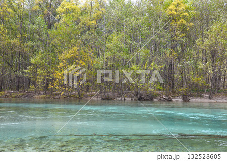 紅葉見頃の大正池と梓川 紅葉見頃の大正池と梓川 132528605