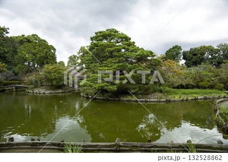 日本庭園の池 日本庭園の池 132528862