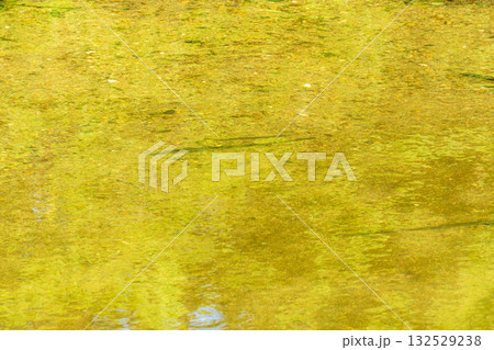 夏の川　川の流れ水面の表情49 132529238