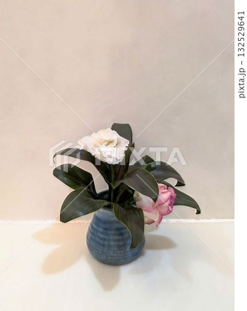 観葉植物とトルコ桔梗 観葉植物とトルコ桔梗 132529641