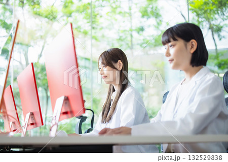 オフィスで働くビジネスパーソン オフィスで働くビジネスパーソン 132529838