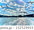 快晴と鳥羽の遊覧船から見えたかもめの大群 132529933