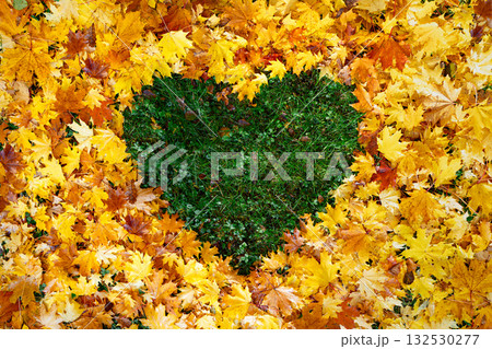 Heart of autumn leaves Heart of autumn leaves 132530277
