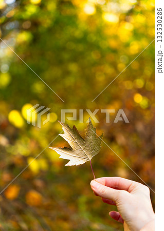 A woman holds a gold leaf in her hand A woman holds a gold leaf in her hand 132530286