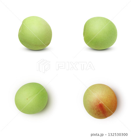 梅 イラスト リアル　梅の実 132530300