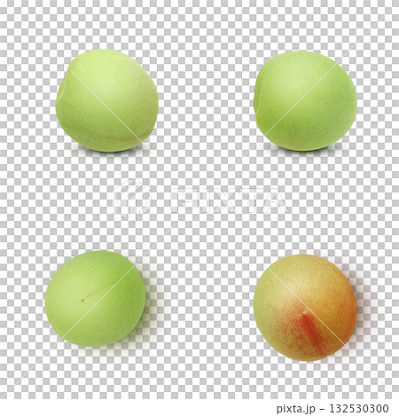 逼真的李子插圖 132530300