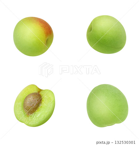 梅 イラスト リアル 梅の実 梅 イラスト リアル 梅の実 132530301