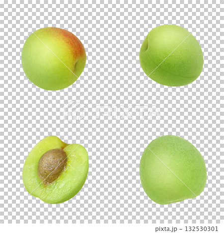 逼真的李子插圖 132530301