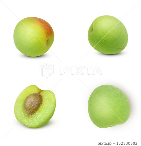 梅 イラスト リアル　梅の実 132530302