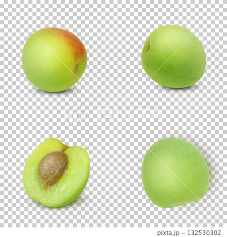 梅 イラスト リアル　梅の実 132530302