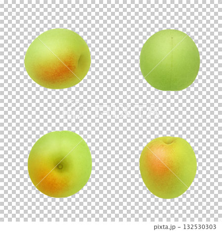 逼真的李子插圖 132530303